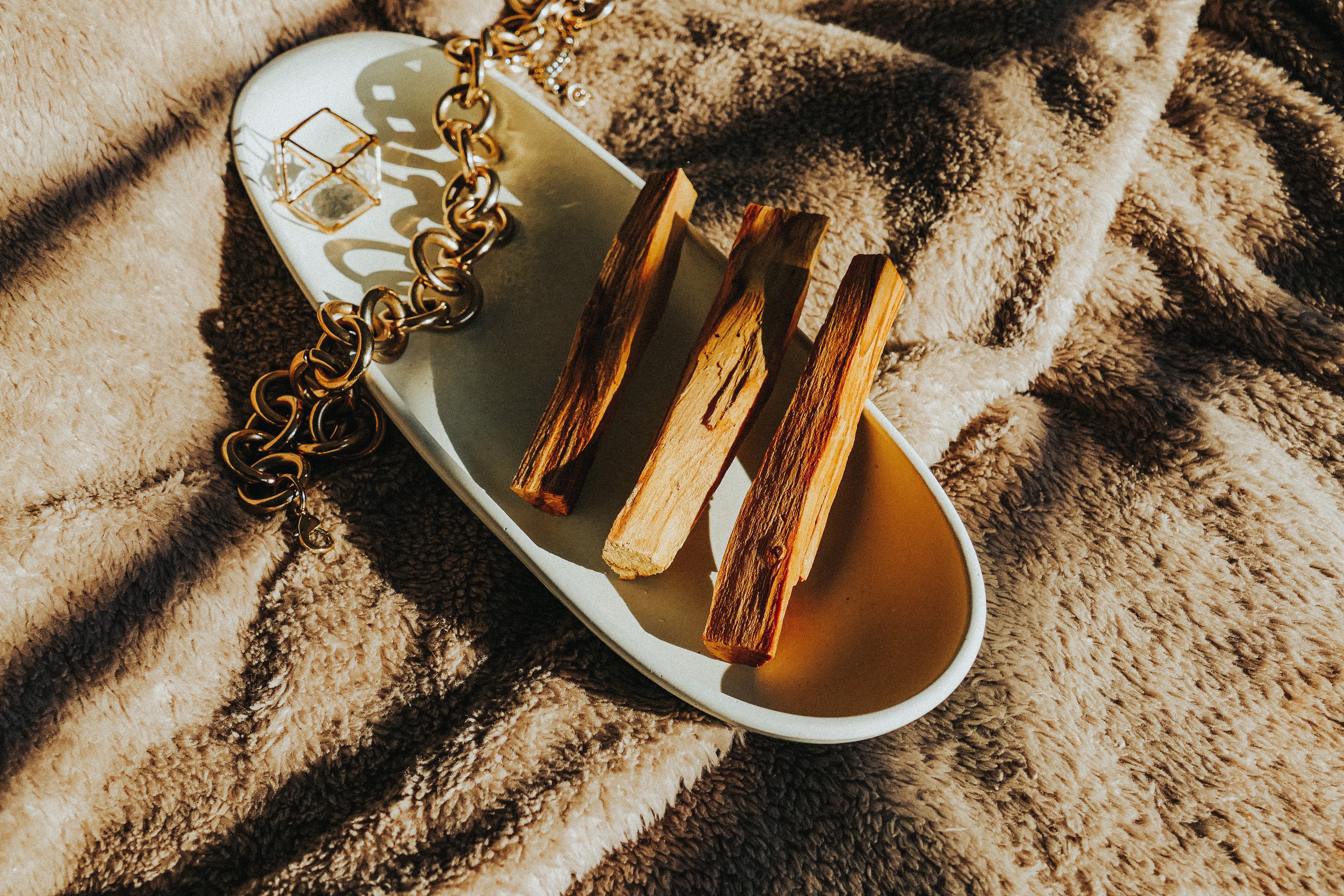 Everything you need to know about the miracle wood of Palo Santo